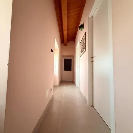 Pani E Tulipani -