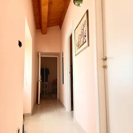 Pani E Tulipani -