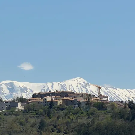 Pani E Tulipani -